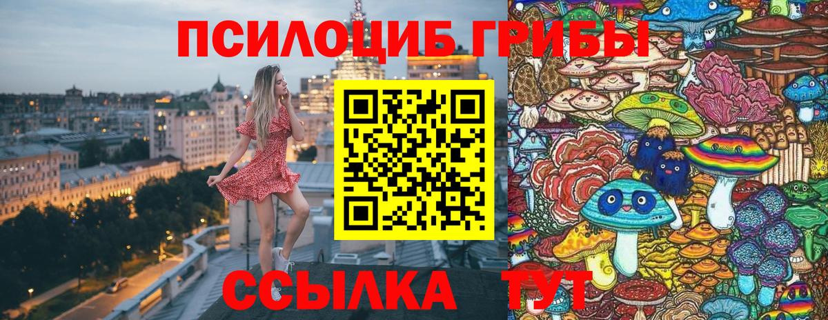 Галлюциногенные грибы прущие грибы Азов