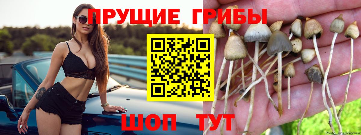 Азов  Псилоцибиновые грибы ЛСД  Вход с VPN 
