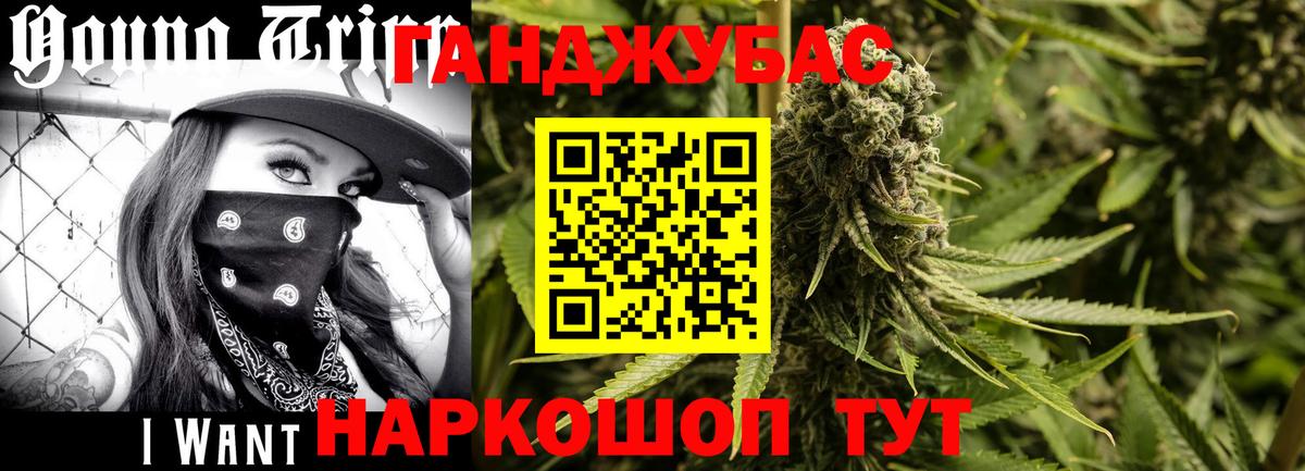 Бошки Шишки конопля Азов